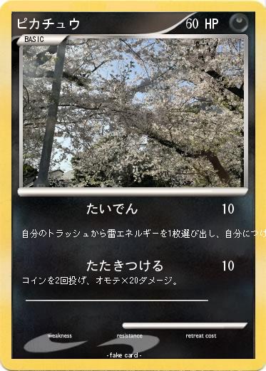 Pokemon ピカチュウ