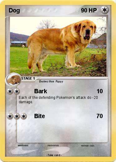Pokemon Dog