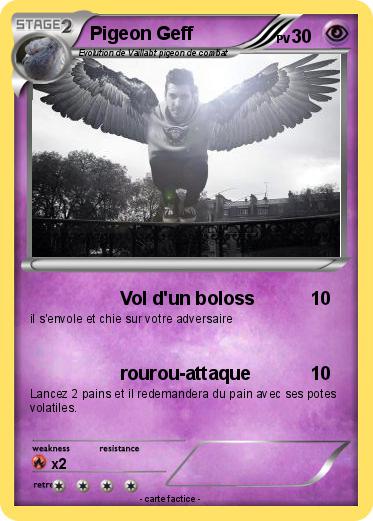 Pokemon Pigeon Geff