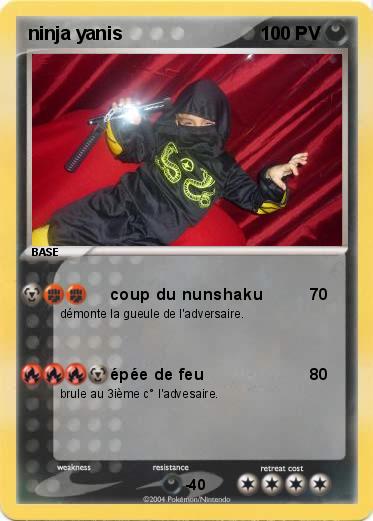 Pokemon ninja yanis