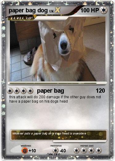 Pokemon paper bag dog