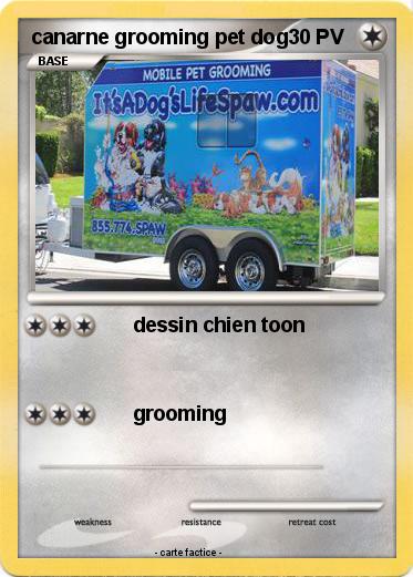 Pokemon canarne grooming pet dog