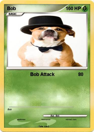 Pokemon Bob