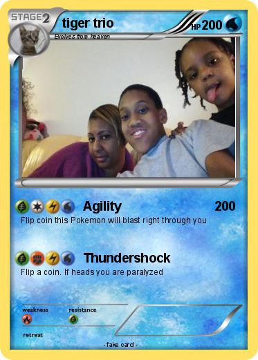Pokemon tiger trio