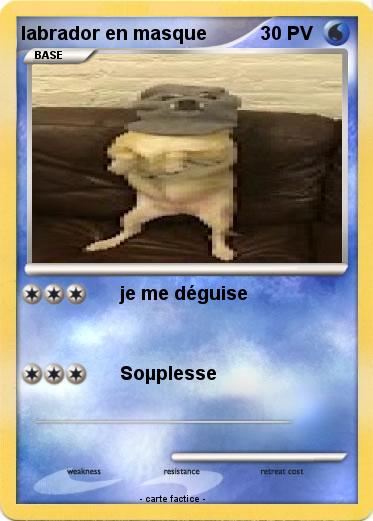 Pokemon labrador en masque
