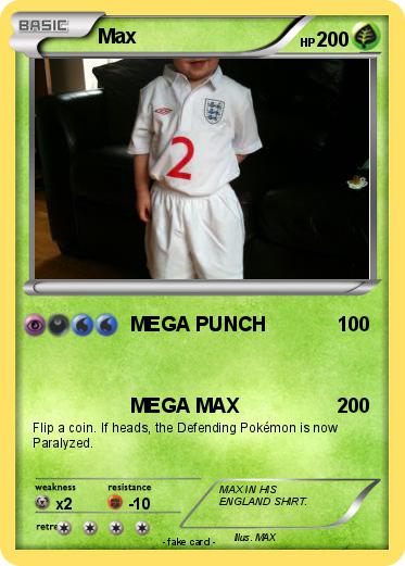 Pokemon Max