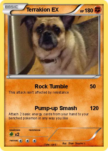 Pokemon Terrakion EX