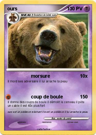 Pokemon ours