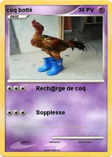 Pokemon coq botté