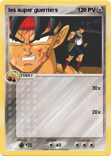 Pokemon les super guerriers