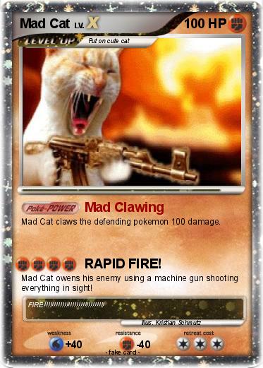 Pokemon Mad Cat