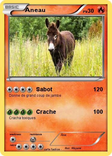 Pokemon Aneau