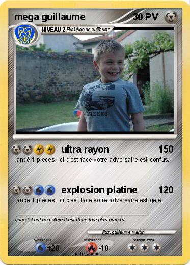 Pokemon mega guillaume