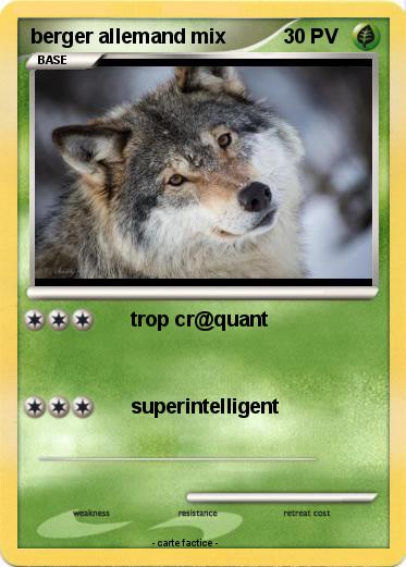 Pokemon berger allemand mix