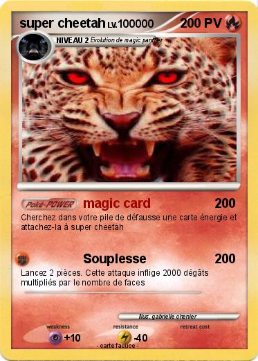 Pokemon super cheetah