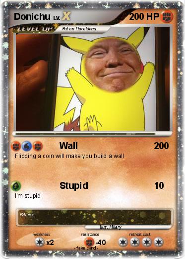 Pokemon Donichu