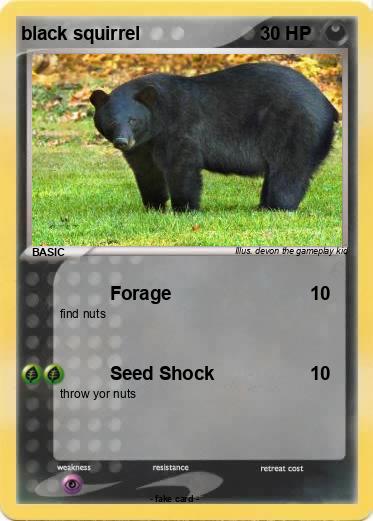 Pokemon black squirrel