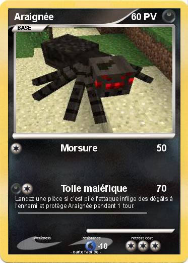 Pokemon Araignée
