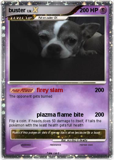 Pokemon buster