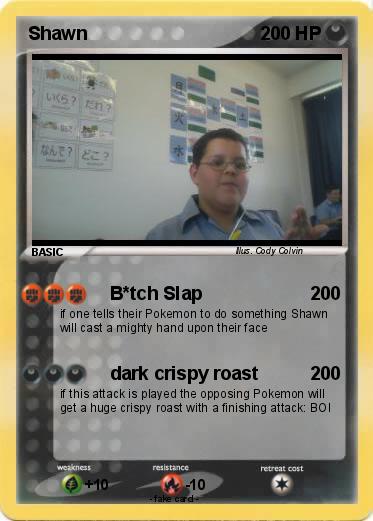 Pokemon Shawn