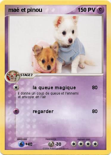 Pokemon maé et pinou