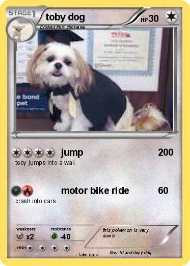 Pokemon toby dog