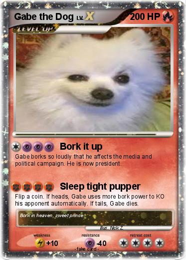 Pokemon Gabe the Dog
