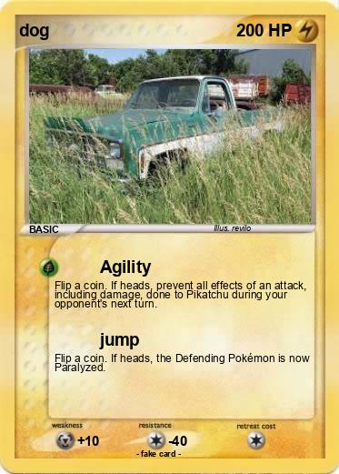 Pokemon dog