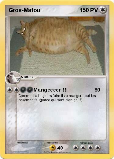 Pokemon Gros-Matou