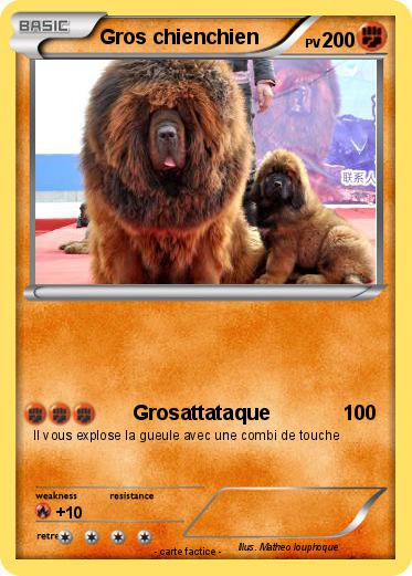 Pokemon Gros chienchien