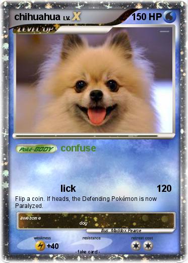 Pokemon chihuahua