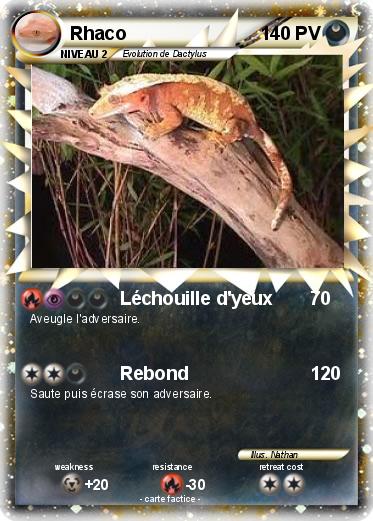 Pokemon Rhaco