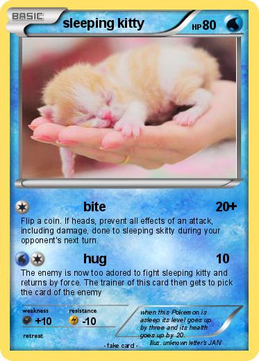 Pokemon sleeping kitty
