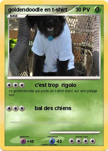 Pokemon goldendoodle en t-shirt