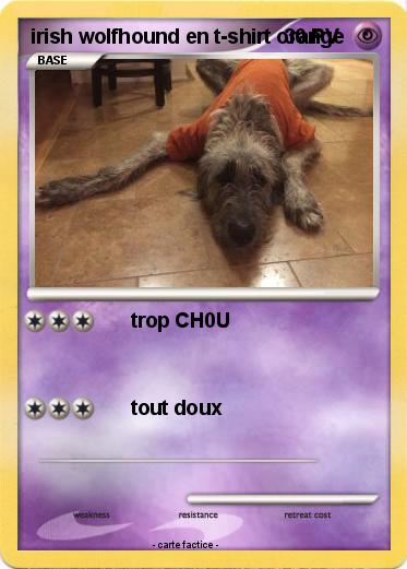 Pokemon irish wolfhound en t-shirt orange