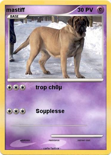 Pokemon mastiff