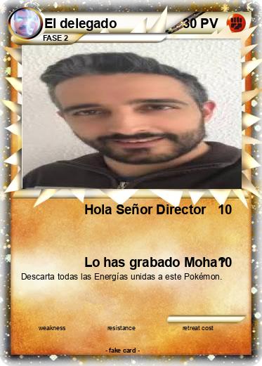 Pokemon El delegado