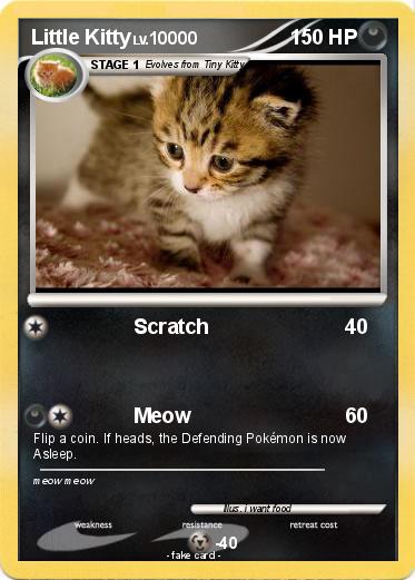 Pokemon Little Kitty