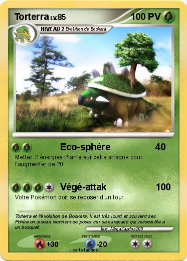Pokemon Torterra