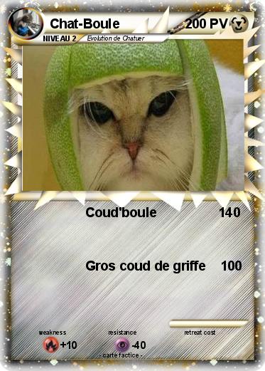 Pokemon Chat-Boule