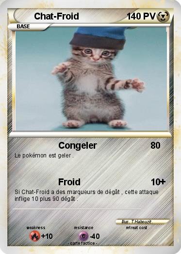 Pokemon Chat-Froid