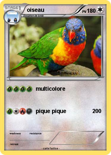 Pokemon oiseau