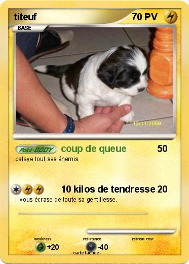 Pokemon titeuf