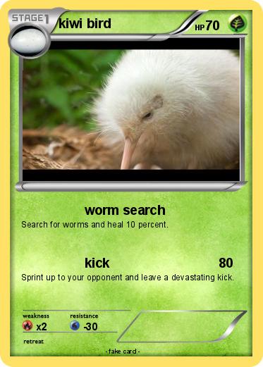 Pokemon kiwi bird