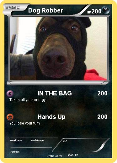 Pokemon Dog Robber