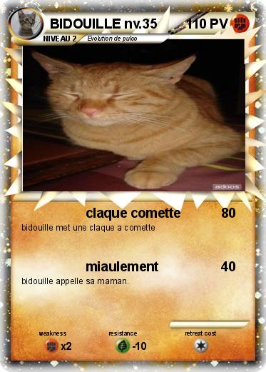 Pokemon BIDOUILLE nv.35