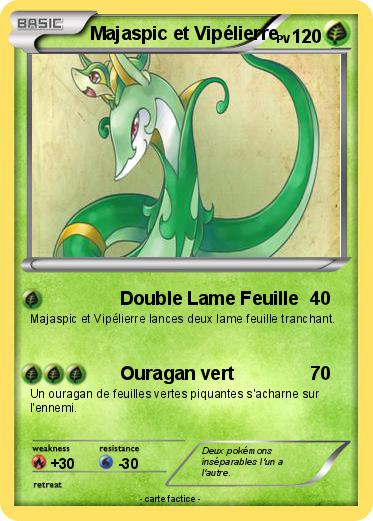Pokemon Majaspic et Vipélierre