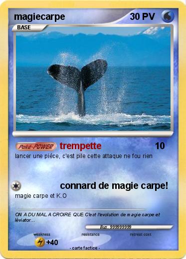 Pokemon magiecarpe