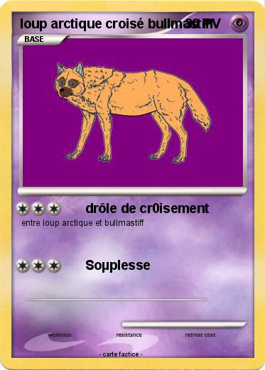 Pokemon loup arctique croisé bullmastiff