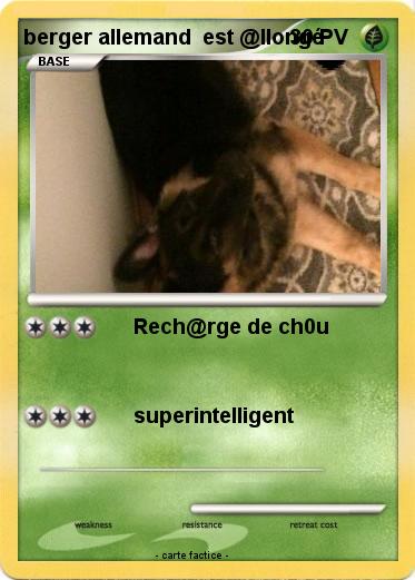 Pokemon berger allemand  est @llongé